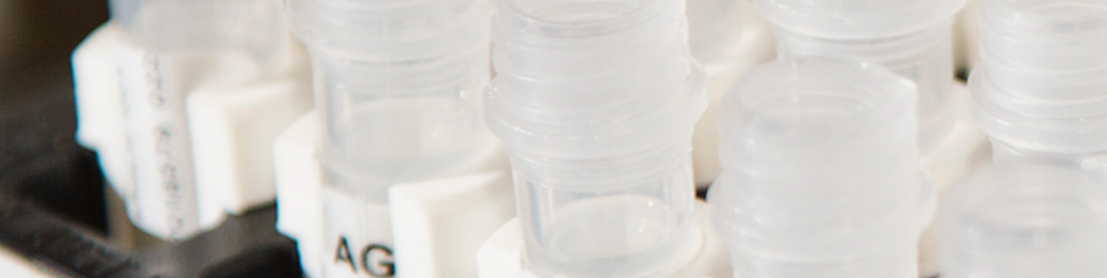 lithium-case-header 3 tamaño