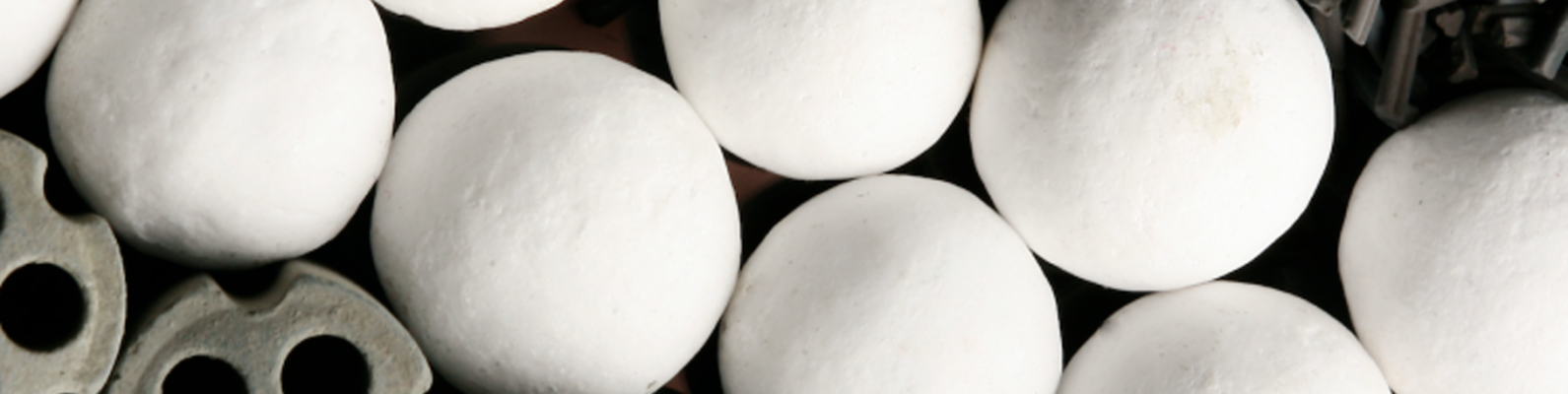 lithium-case-header 6