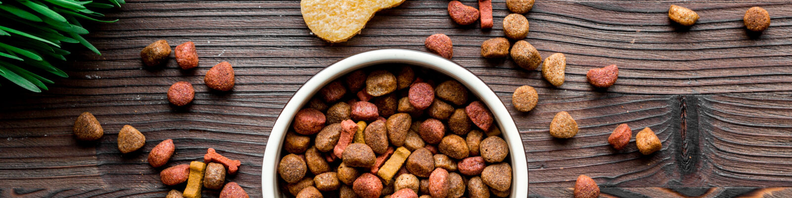 dry dog food in bowl on wooden background top view